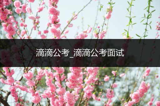 滴滴公考_滴滴公考面试