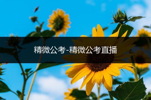 精微公考-精微公考直播