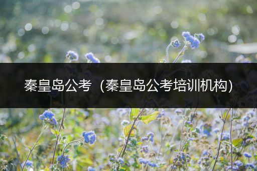 秦皇岛公考（秦皇岛公考培训机构）