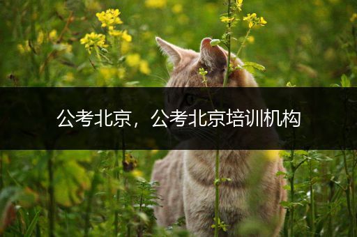 公考北京，公考北京培训机构