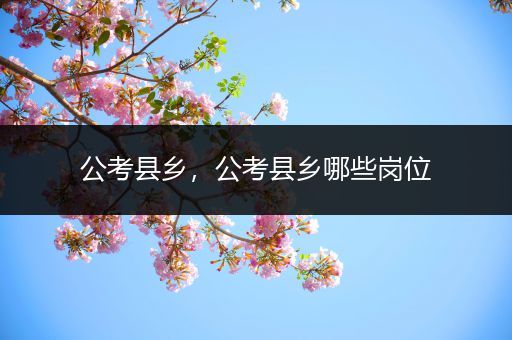 公考县乡，公考县乡哪些岗位