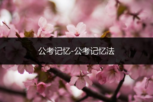 公考记忆-公考记忆法