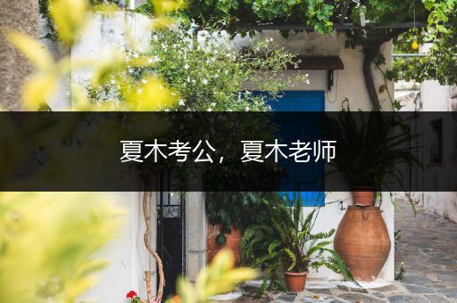 夏木考公，夏木老师