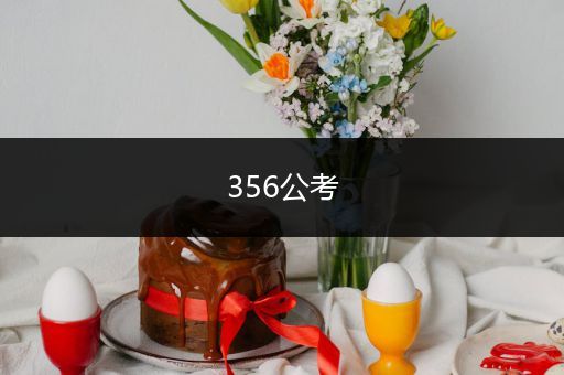 356公考