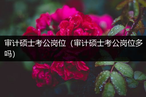 审计硕士考公岗位（审计硕士考公岗位多吗）