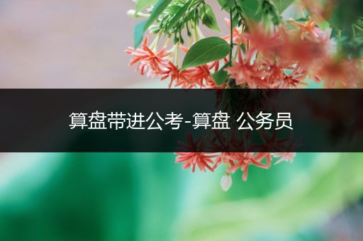 算盘带进公考-算盘 公务员