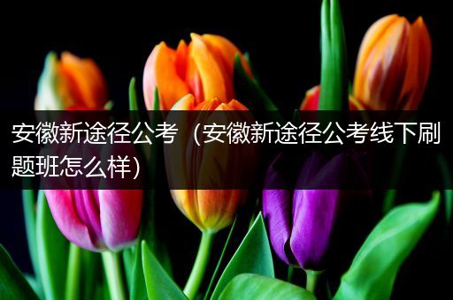 安徽新途径公考（安徽新途径公考线下刷题班怎么样）