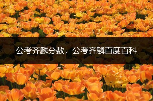 公考齐麟分数，公考齐麟百度百科