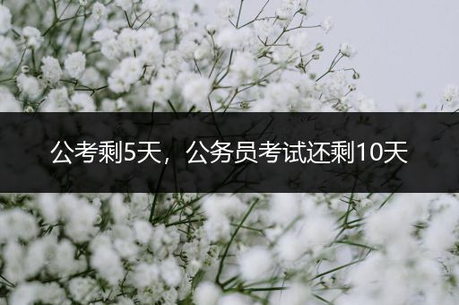 公考剩5天，公务员考试还剩10天