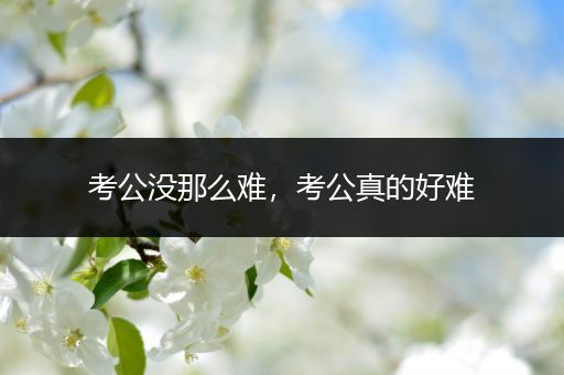 考公没那么难，考公真的好难
