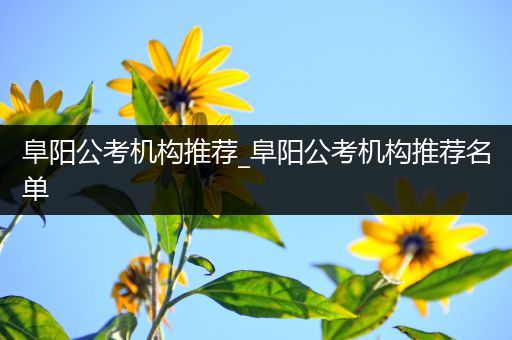 阜阳公考机构推荐_阜阳公考机构推荐名单