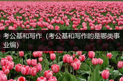 考公基和写作（考公基和写作的是哪类事业编）