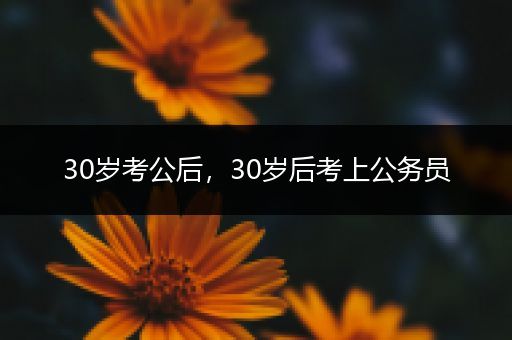 30岁考公后，30岁后考上公务员