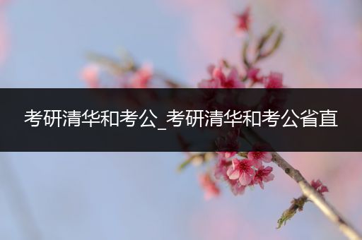 考研清华和考公_考研清华和考公省直