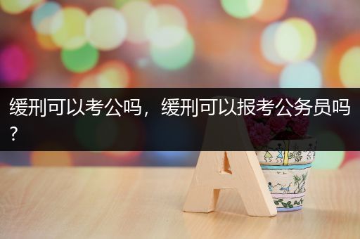 缓刑可以考公吗，缓刑可以报考公务员吗?