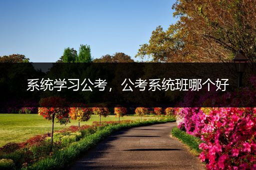 系统学习公考，公考系统班哪个好