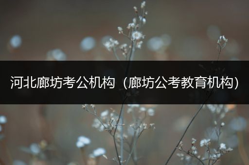 河北廊坊考公机构（廊坊公考教育机构）