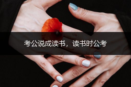 考公说成读书，读书时公考