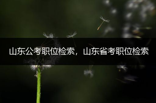 山东公考职位检索，山东省考职位检索