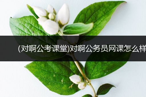 （对啊公考课堂)对啊公务员网课怎么样