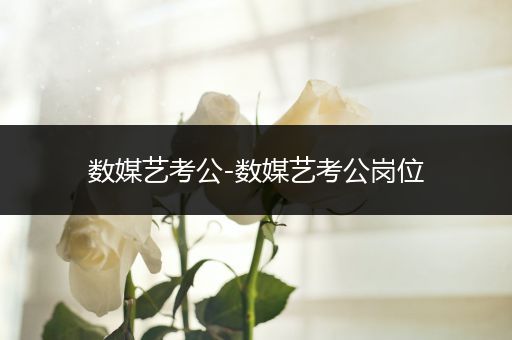 数媒艺考公-数媒艺考公岗位