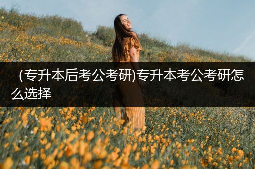 （专升本后考公考研)专升本考公考研怎么选择