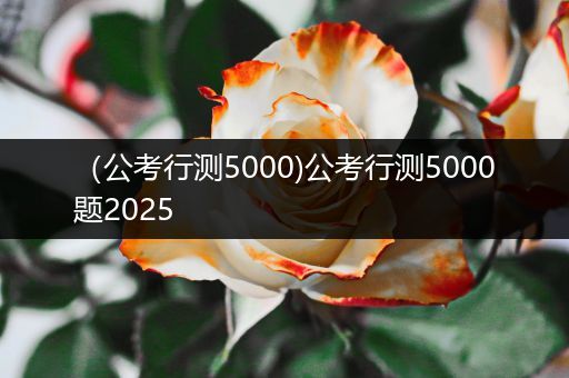 （公考行测5000)公考行测5000题2025