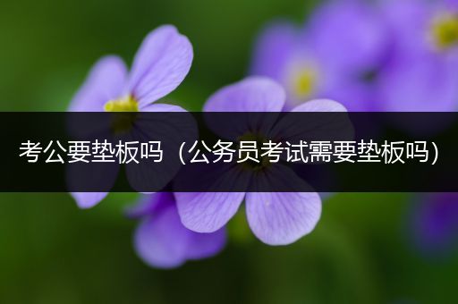 考公要垫板吗（公务员考试需要垫板吗）