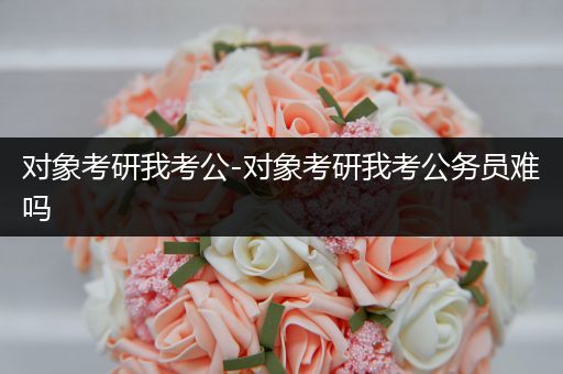 对象考研我考公-对象考研我考公务员难吗