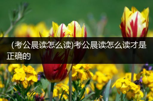 （考公晨读怎么读)考公晨读怎么读才是正确的