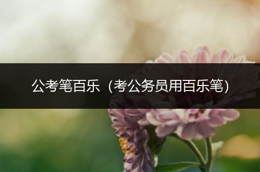 公考笔百乐（考公务员用百乐笔）