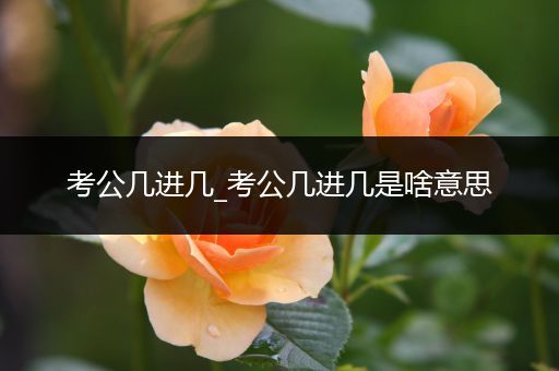 考公几进几_考公几进几是啥意思