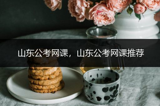 山东公考网课，山东公考网课推荐