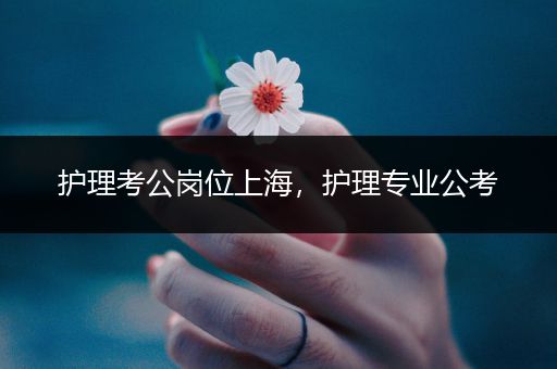 护理考公岗位上海，护理专业公考