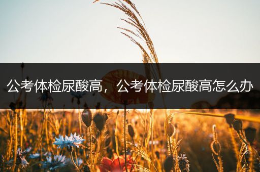 公考体检尿酸高，公考体检尿酸高怎么办