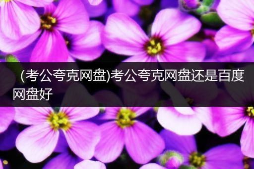 （考公夸克网盘)考公夸克网盘还是百度网盘好
