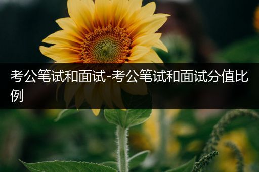 考公笔试和面试-考公笔试和面试分值比例