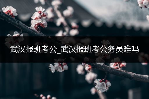 武汉报班考公_武汉报班考公务员难吗