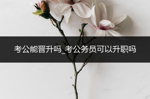 考公能晋升吗_考公务员可以升职吗