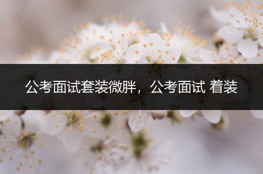 公考面试套装微胖，公考面试 着装