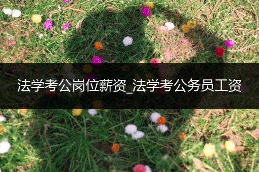 法学考公岗位薪资_法学考公务员工资