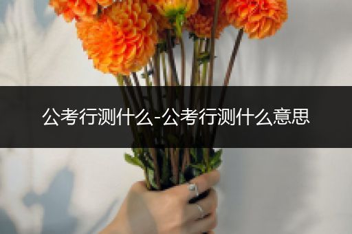 公考行测什么-公考行测什么意思