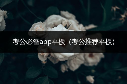 考公必备app平板（考公推荐平板）