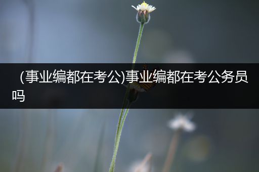 （事业编都在考公)事业编都在考公务员吗