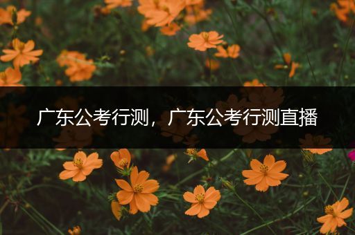 广东公考行测，广东公考行测直播