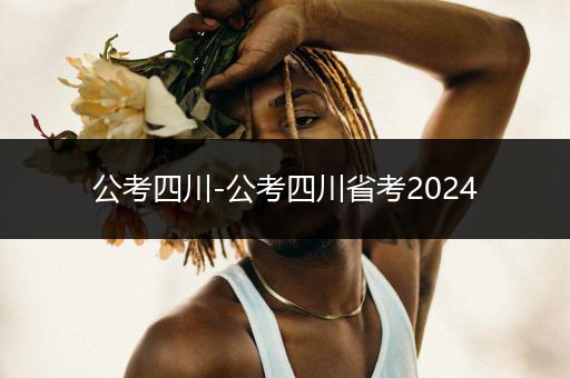 公考四川-公考四川省考2024