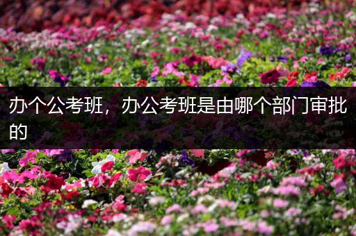 办个公考班，办公考班是由哪个部门审批的