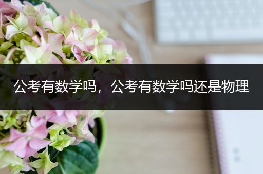 公考有数学吗，公考有数学吗还是物理