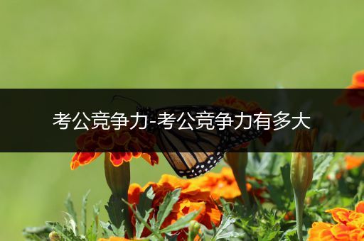 考公竞争力-考公竞争力有多大