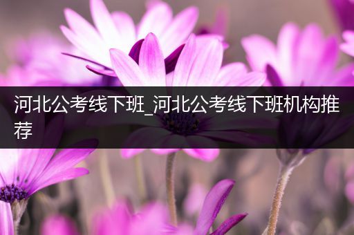 河北公考线下班_河北公考线下班机构推荐